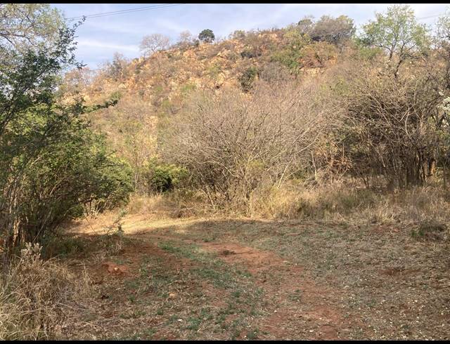 81HA FARM FOR SALE IN RIETVLY AH